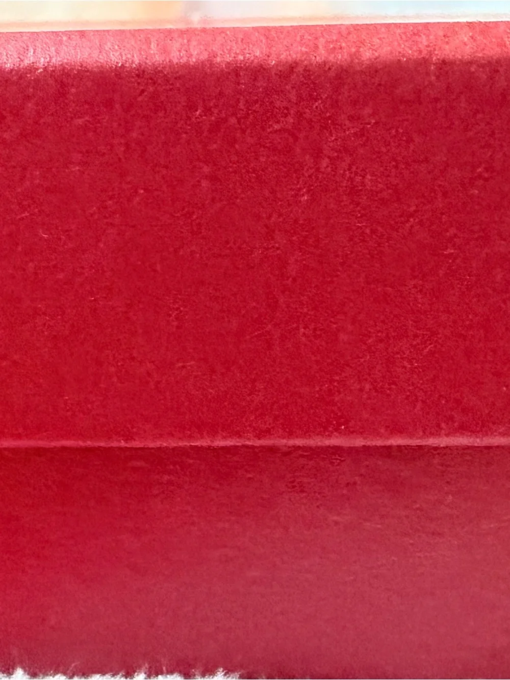 Salvatore Ferragamo Red Box with a Suede cloth branded